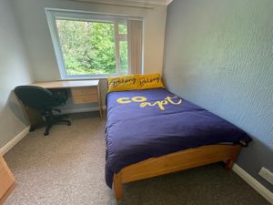 Photo 11- click for photo gallery